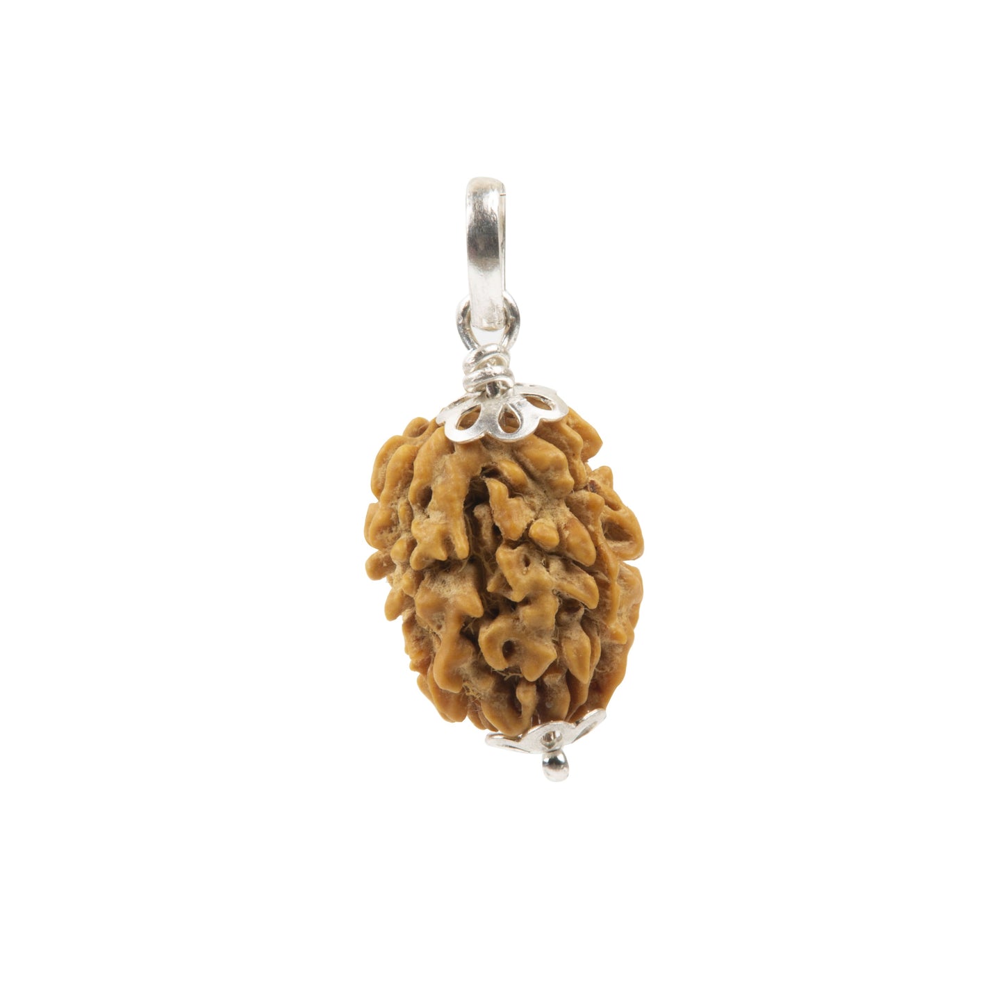 Three Mukhi Rudraksha with 925 Silver Pandant Unisex Both for Men & Women
