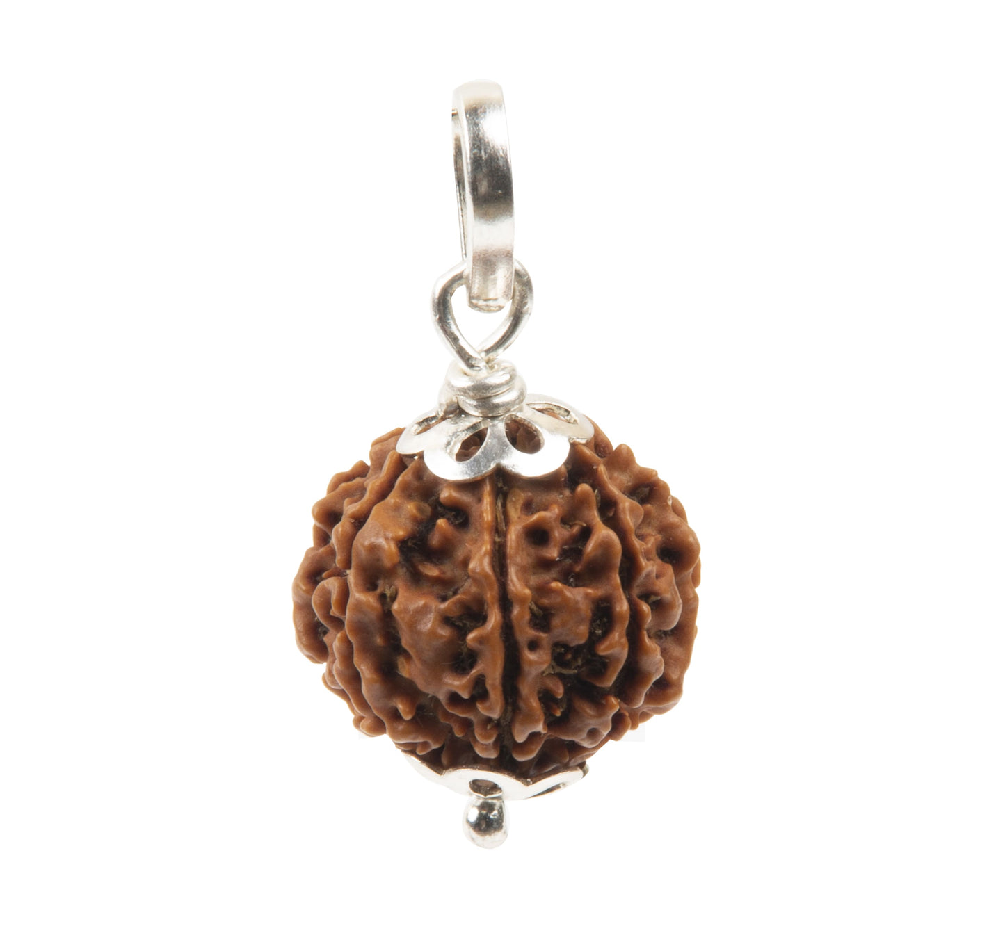 Seven Mukhi Rudraksha with 925 Silver Pandant Unisex Both for Men & Women