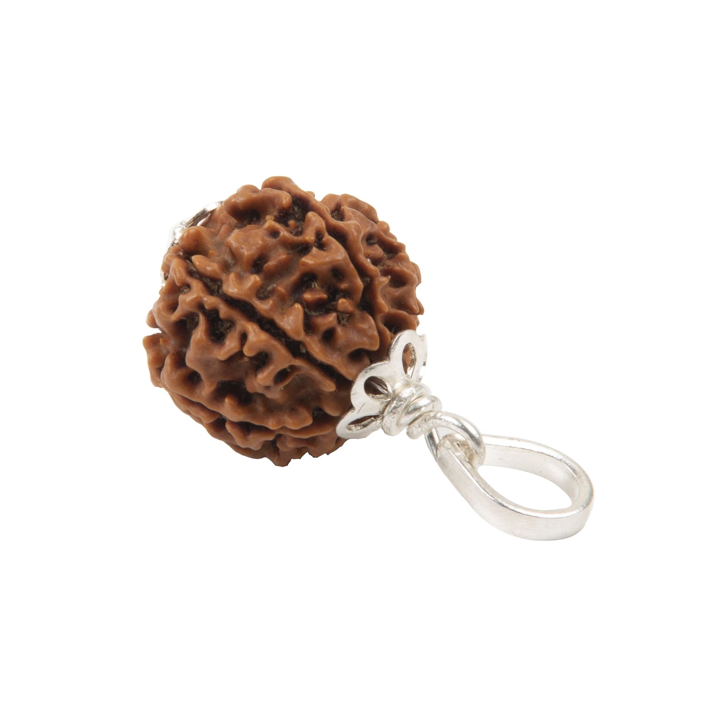 Seven Mukhi Rudraksha with 925 Silver Pandant Unisex Both for Men & Women