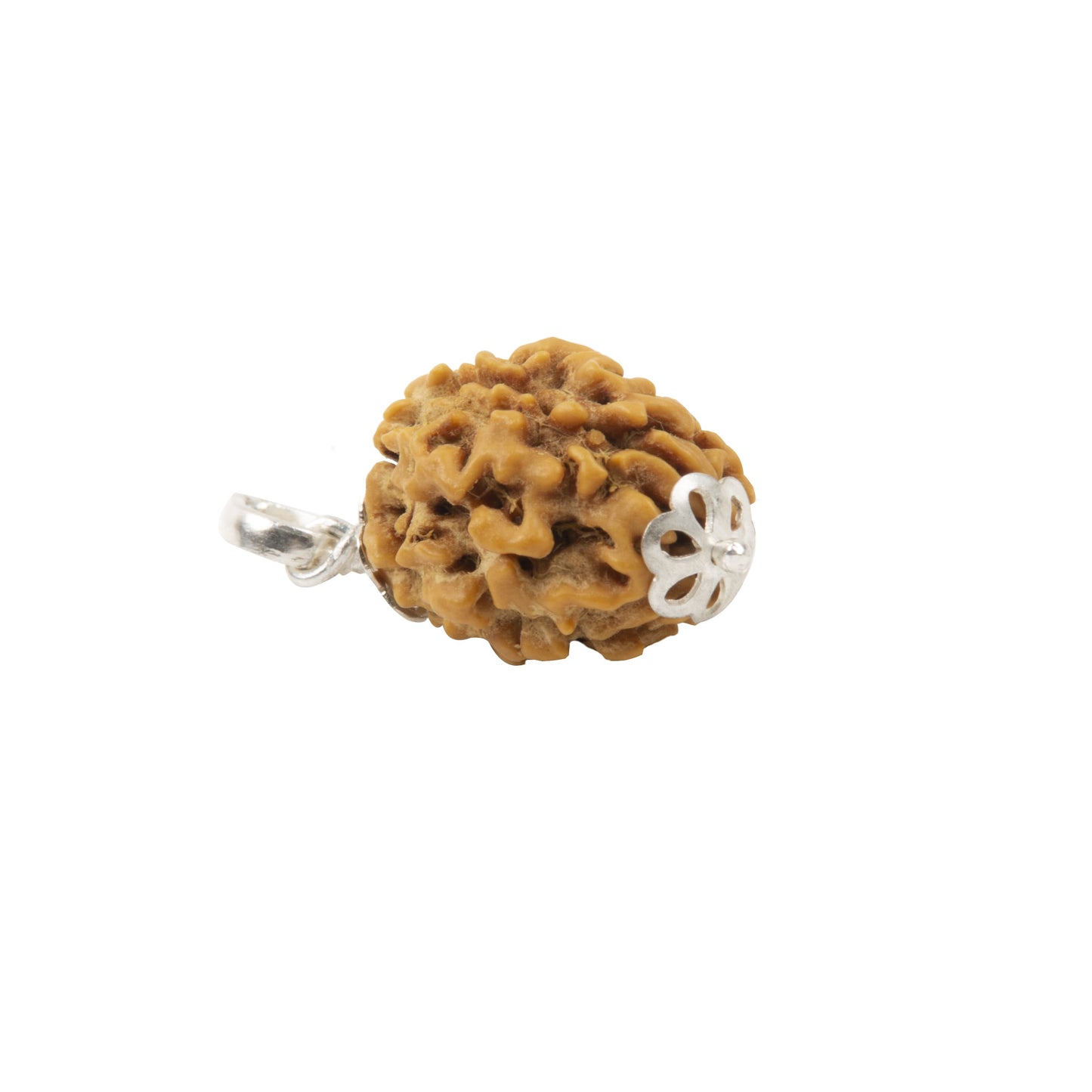 Three Mukhi Rudraksha with 925 Silver Pandant Unisex Both for Men & Women