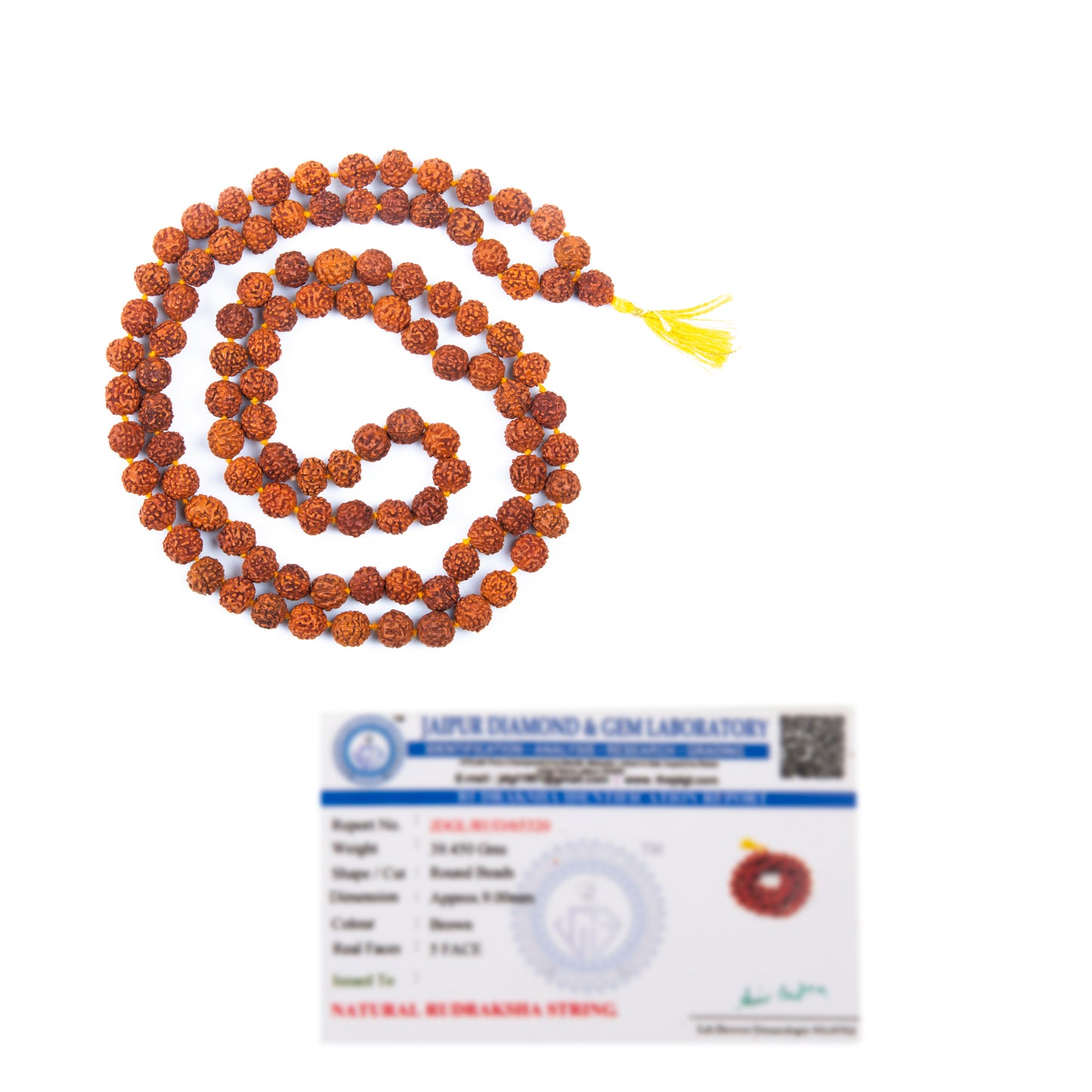 Five Mukhi Rudraksha Rosary